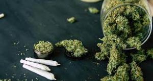 Lee más sobre el artículo Adicción al cannabis, cómo tratarla?